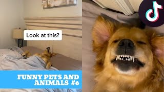 Funny Animals of TikTok | funny pets and animals compilation #6