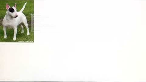 MySpace Tips & Facts : Where Can I Find Images to Put on MySpace?