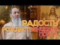 Радость Рождественского поста