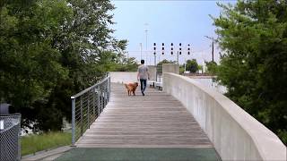 Bens Tours Railroad Park
Each installment of Bens Tours takes you on a visit to a special place. This time join me in downtown Birmingham, Alabama as we check out the urban reclaimed greenspace of Railroad Park. Bens Tours Railroad Park