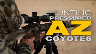 Hunting pressured coyotes in Arizona