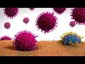 Coronavirus ¿Por qué perdona a algunos y mata a otros?