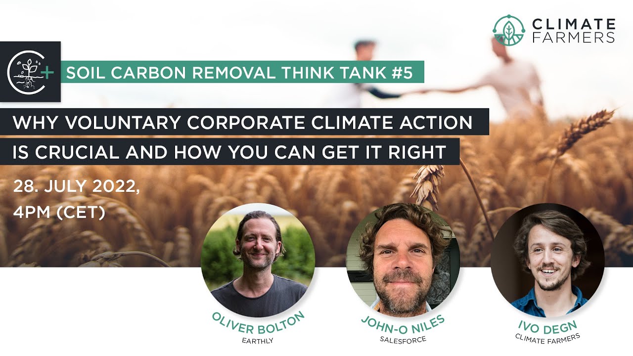 Think Tank 5: Why Voluntary Corporate Climate Action Is Crucial and How ...