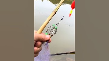 Độc lạ câu cá bằng lưới #cacconvat #docla #fishing