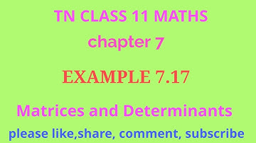 TN 11 maths | chapter 7 | example 7.17 | matrices and determinants | gmrrao maths |