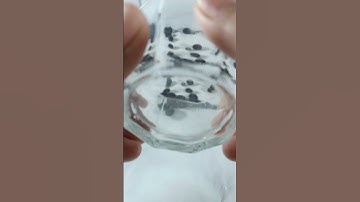 Marbles Beads in Black Satisfying #reverse #satisfying #shorts