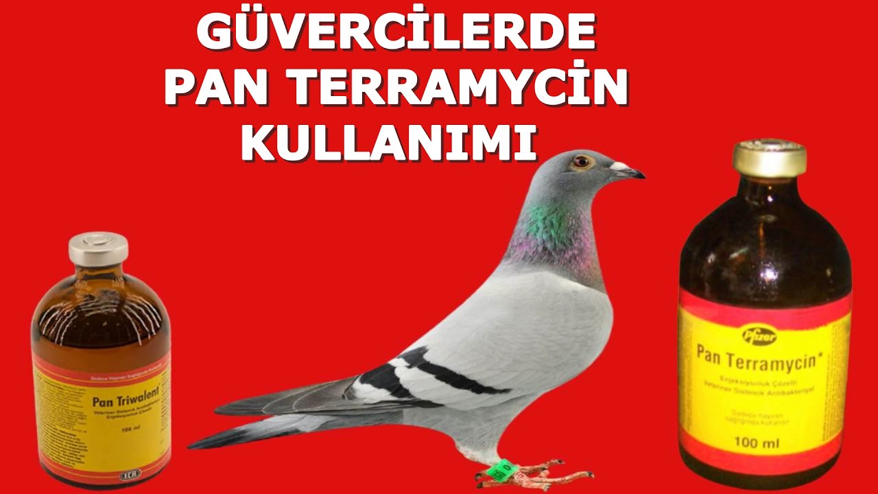 Pan Terramycin Hangi Durumlarda Kullanılır? Nasıl Uygulanır ?