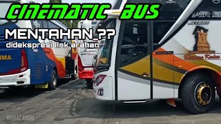 CINEMATIC bus PO Haryanto