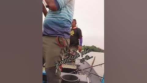 mancing ikan patin di teluk intan
