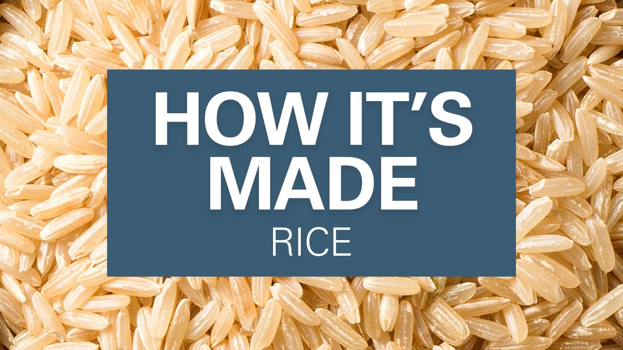 How Rice Is Made What Are The Types Of Rice YouTube How Rice Is Made What Are The Types Of Rice YouTube