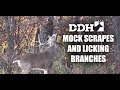 Mock Scrapes, the Most Underrated Deer Hunting Tool | Steve Bartylla @deerhuntingmag