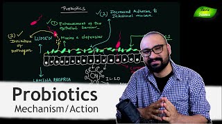 How Probiotics work? | Benefits of Probiotics | Gut Microbes | Basic Science Series