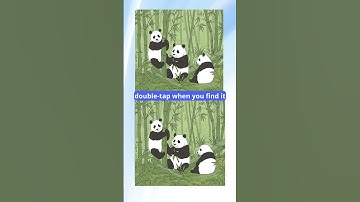 Only 1% Can Spot ALL the Differences! 🔍 🤯 Most People Fail! #puzzle