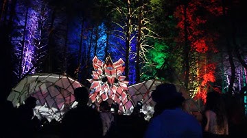 Калейдоскопье 2016, 4.06.2016 (32)