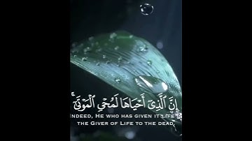 تلاوة هادئة وقصيرة  || القارئ : إسلام صبحي || سورة : فصلت 🌷💚🌷