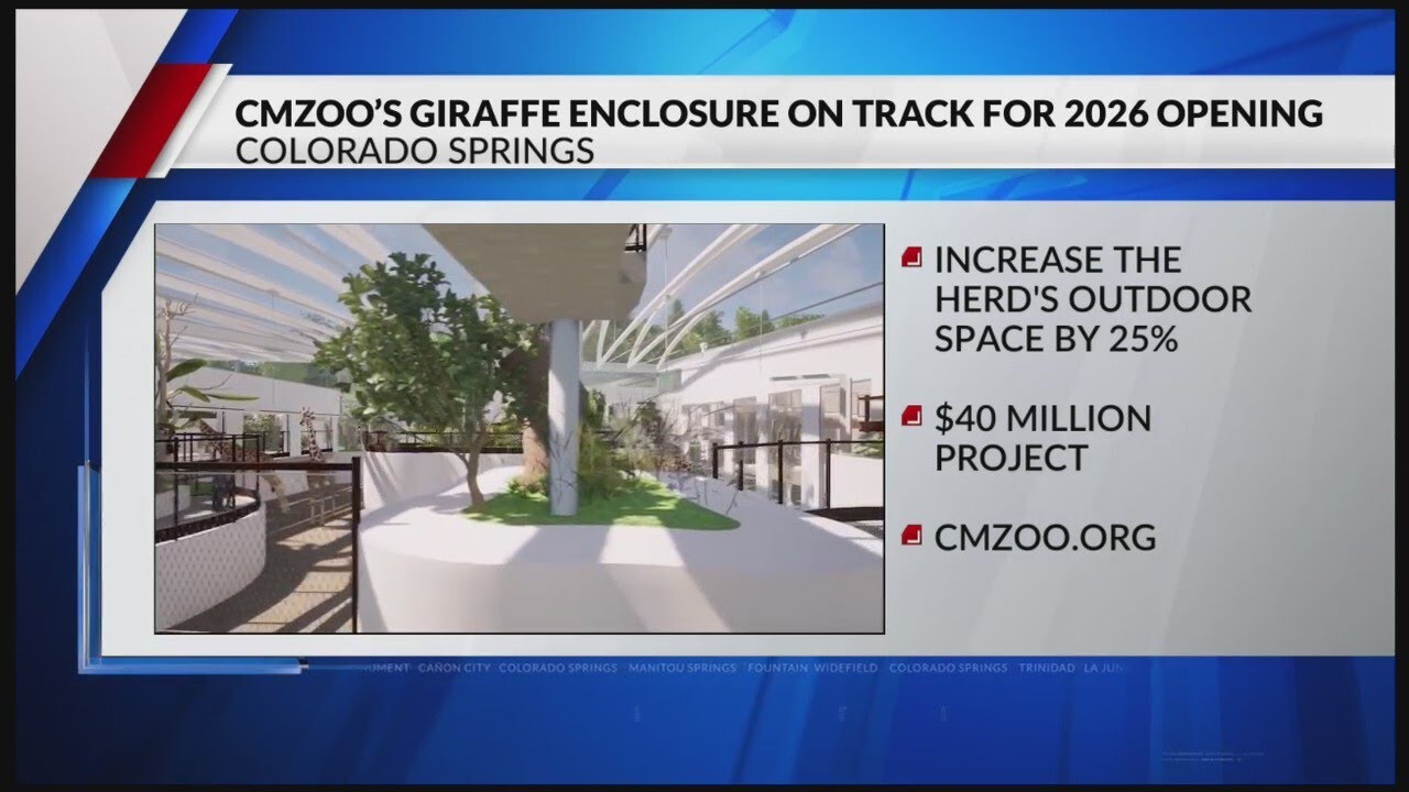 CMZoo’s giraffe enclosure on track for 2026 opening
