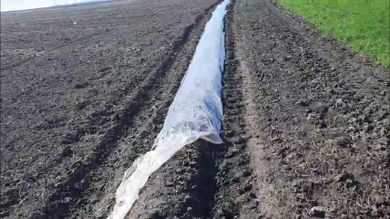 первая гряда под ранний арбуз - YouTube