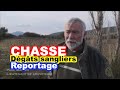 Chasse  indemnisation des dgts de sangliers sus scrofa