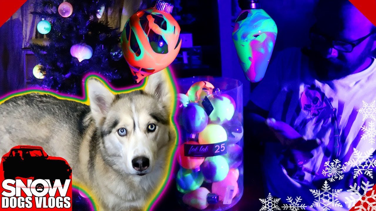 black light christmas tree youtube christmas is going to the dogs