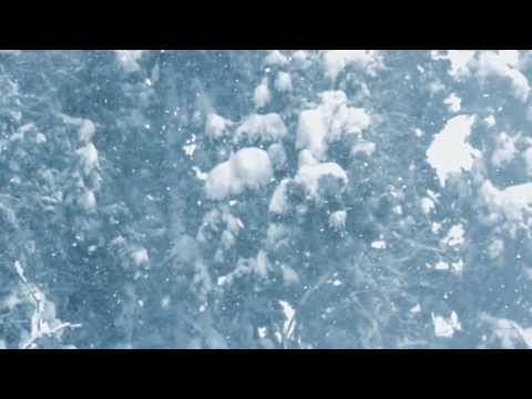 Larisa Anton - E noapte sfântă