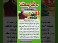 دقة بدقة ولو زدنا لزاد السقا السقا دقة زاد حكمة اليوم حكم عربي 