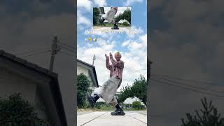 Slow & Mirrored Dance Tutorial🔥Illit