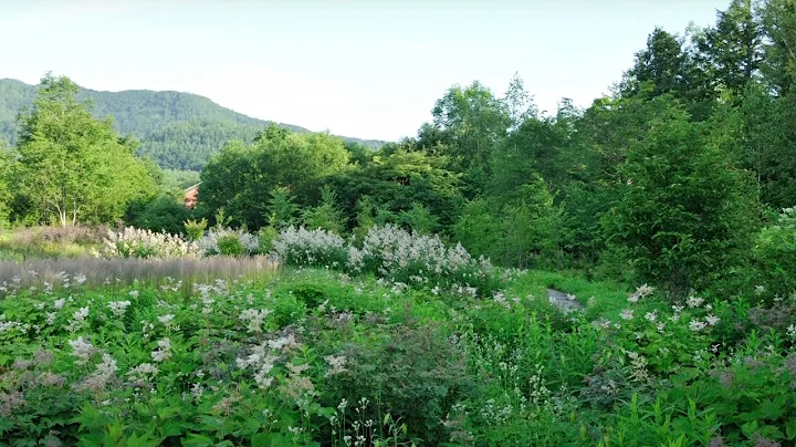 Art of the Garden: Dan Pearson, The Garden as Vision
