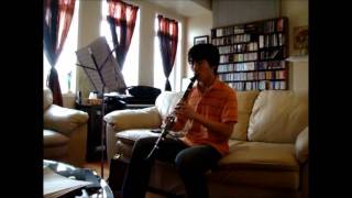 fripSide - LEVEL 5 ~Judgelight~ (clarinet cover)