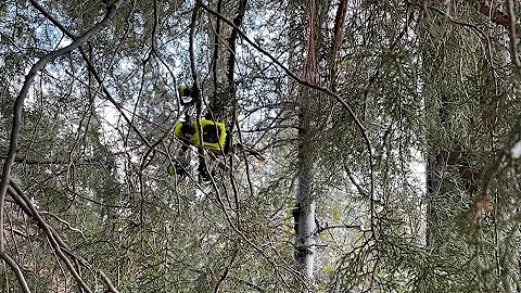 Hanging Around - 3.5 Inch Gecko 6S - T Motor F1507 2700Kv with HQ 89mm Props