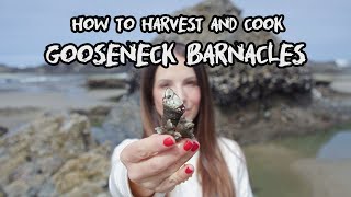 The Kitchen Wild - Gooseneck Barnacles