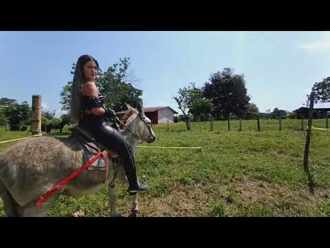 Donkey Riding | Esel Reiten ✅✅✅