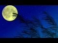 月夜荒城の曲を聞く