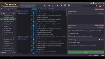 Commit and push branch on remote server repository  from GitKraken