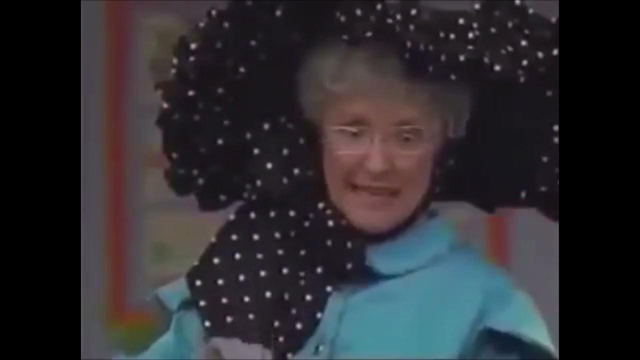 Honk Honk A Goose On The Loose Barney Honk! Honk! A Goose on the Loose! 1999 VHS - YouTube