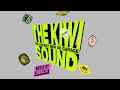 The kiwi sound mixed by conducta