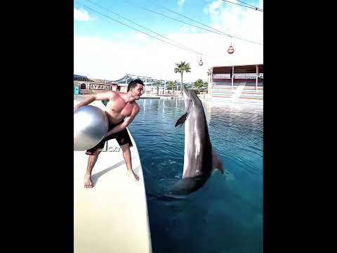 Ronaldo X Dolphin 🐬