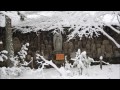 蓮華寺の雪景色　白い静寂