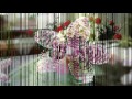 千の風になって~Relaxing Music