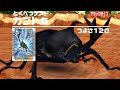 [1vs1 対決] カブト丸 VS ヤイバ - 甲虫王者 ムシキング Mushiking アーケード