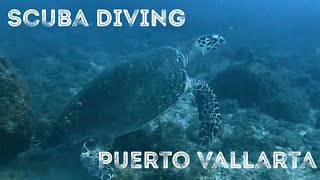 Diving Los Arcos,Puerto Vallarta,Mexico.