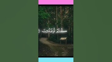 #القارئ_احمد_العجمي #سورة_الأنبياء