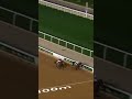 Saudi Cup 2025 $10 million prize money #foreveryoung #RuseiSakai #YahagioftheWorld #SusumuFujita