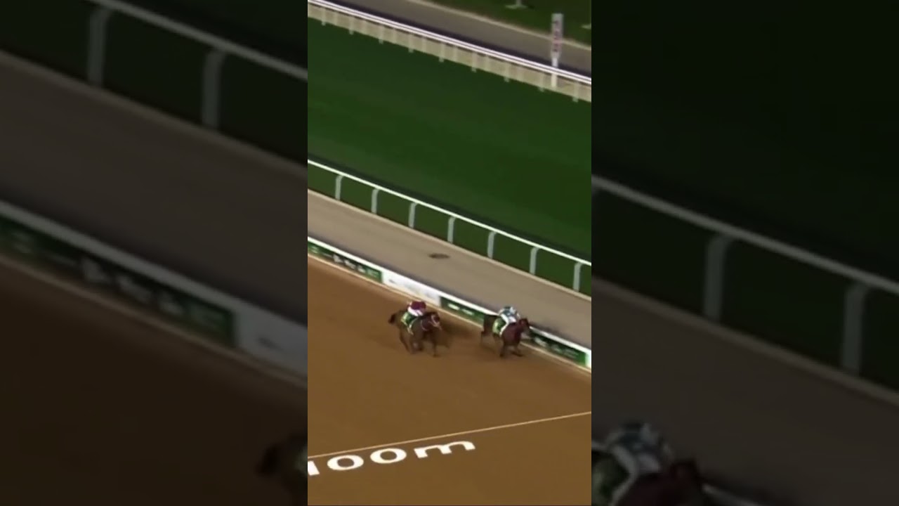 Saudi Cup 2025 $10 million prize money #foreveryoung #RuseiSakai #YahagioftheWorld #SusumuFujita