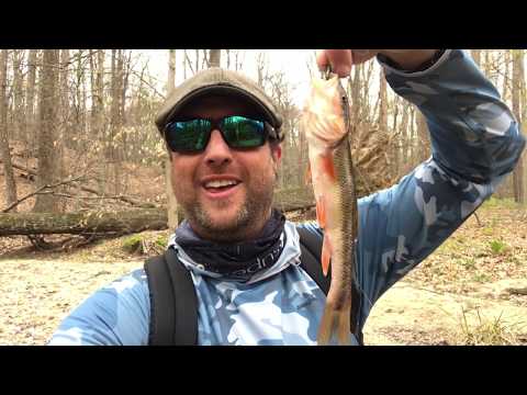 Small Stream Urban Fly Fishing