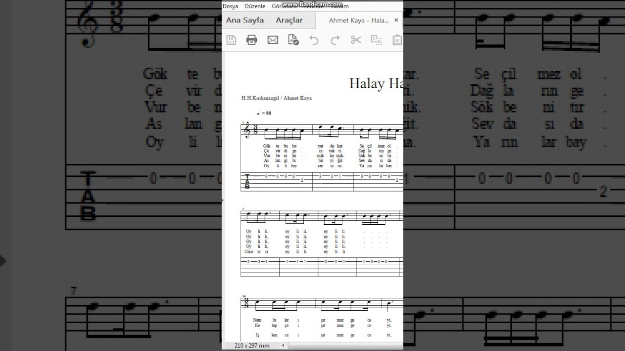 Ahmet Kaya   Halay Havası  Nota   Tab