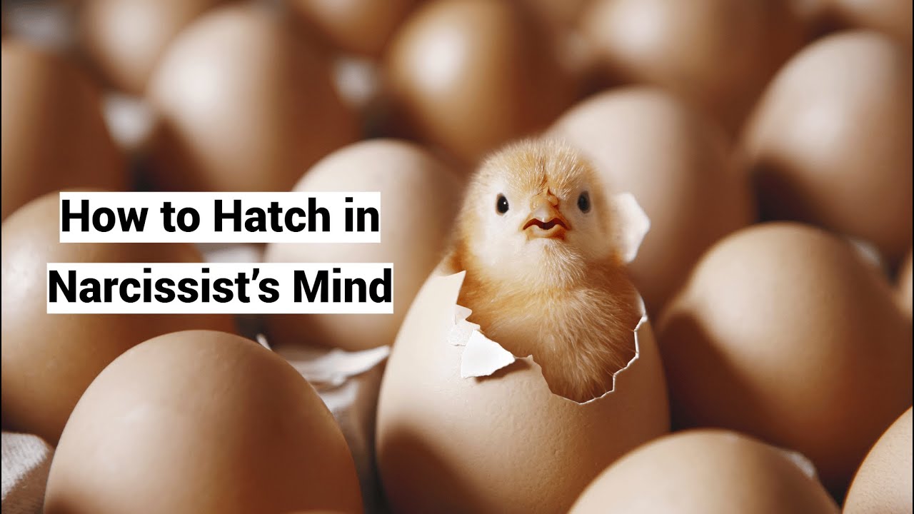 Video thumbnail — How to Hatch in Narcissist’s Mind: Internal to External Object