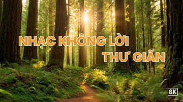 Nhạc Không Lời Thư Giãn Đầu Óc – Giảm Căng Thẳng, Ngủ Ngon. #8