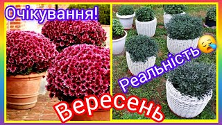 видео: Почему не получается, как на базаре 😭🤔! Элемент, о котором забываем! Давайте разберемся и исправи... картинка: Почему не получается, как на базаре 😭🤔! Элемент, о котором забываем! Давайте разберемся и исправи...