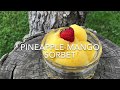 Pineapple-Mango Sorbet