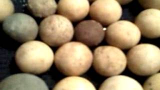 East Texas Indian artifacts